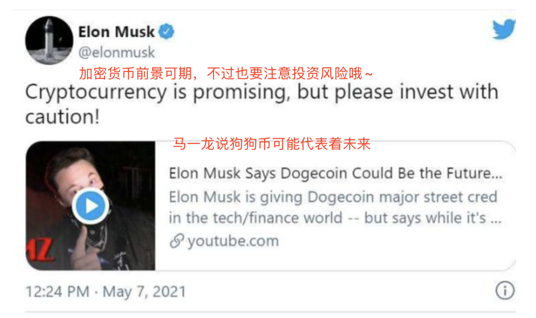 币圈疯了：炒完狗币炒屎币，下一步是炒LowB？