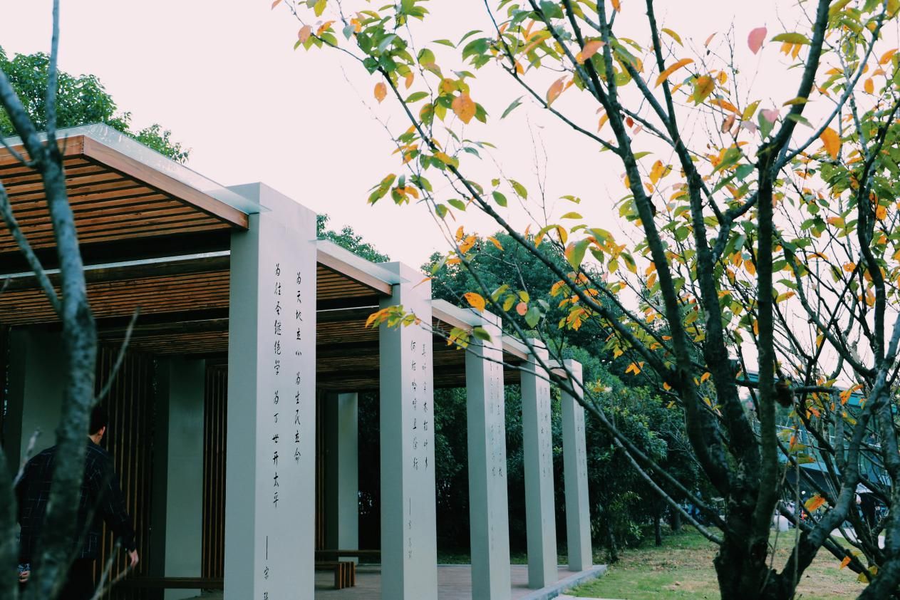 杨雨、郦波多位名家教授点赞，中南大学问渠晨读长廊等你pick！