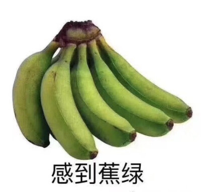 手英语发音指南：详解手译本内容