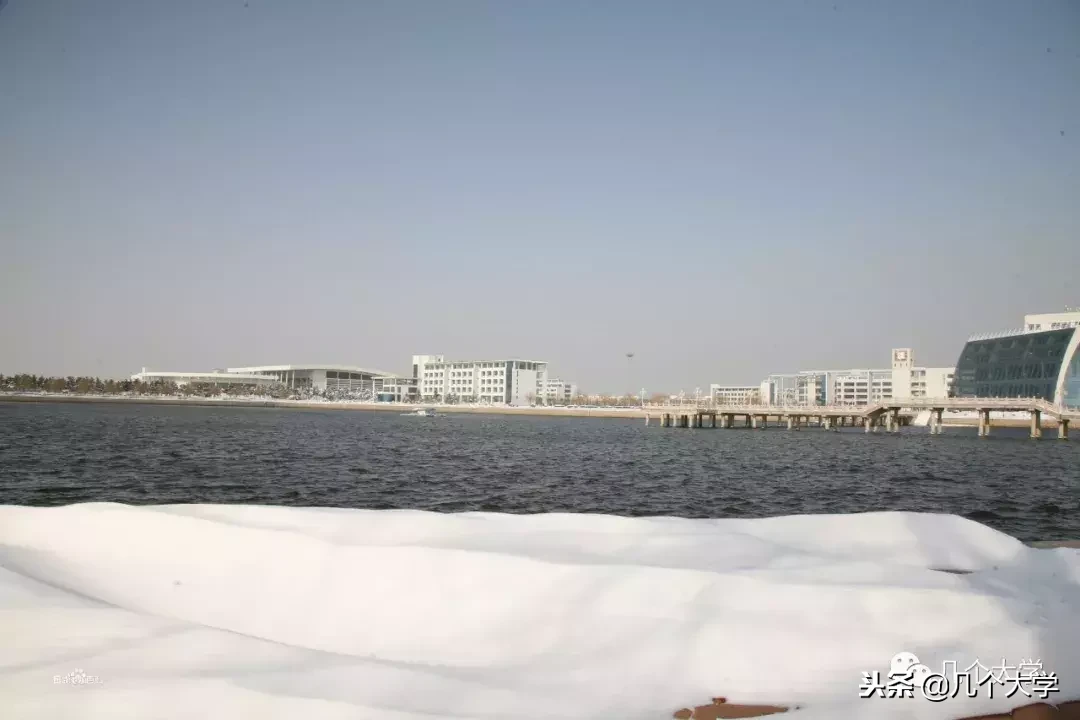 几个大学2019｜威海职业学院