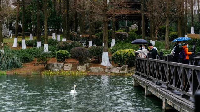 四川的大学排名（分享四川各大高校最新排名）