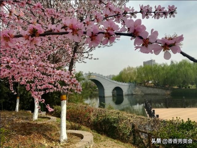 乱花渐欲迷人眼，一日看尽长安花