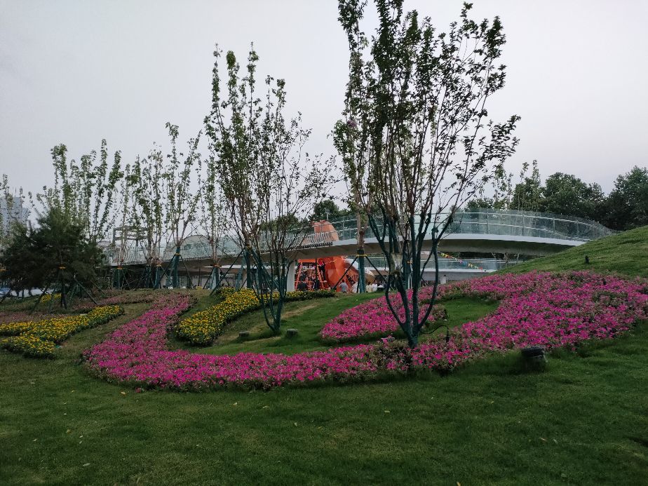 西安最繁华的小寨地区有了一个美丽的袖珍城市公园