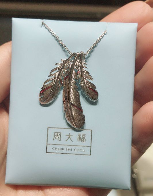 羽毛项链叫什么牌子（周大福新出的羽毛项链介绍）