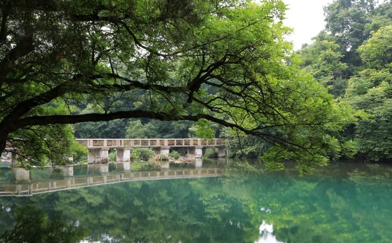 “春风入夜半含香，水下花溪映采光，”走进花溪开启一场浪漫之旅