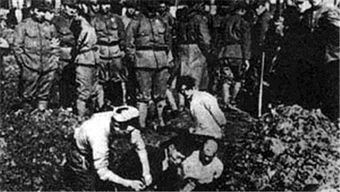 触目惊心的南京大屠杀：野狗吃红了眼，到处都是妇人的哭声