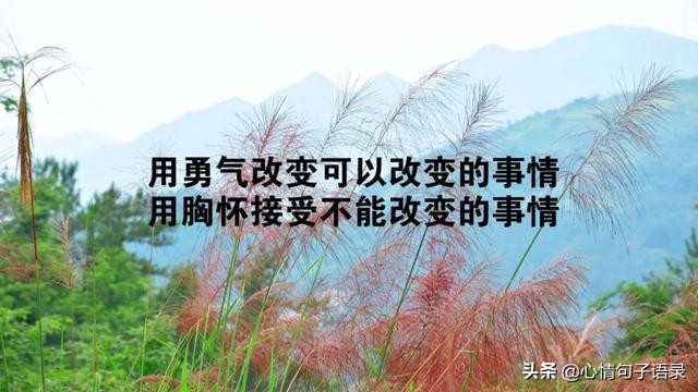 励志语录：只有经历过地狱般的折磨，才有征服天堂的力量