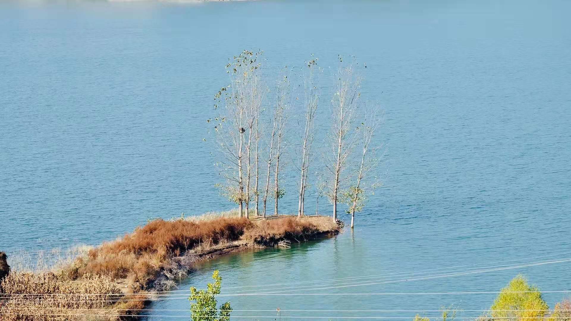 runĹȥִʣrunĹȥִci䣩-Ʒ