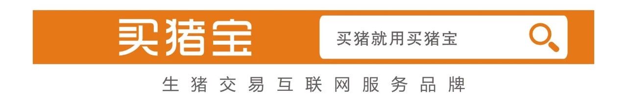 修水生豬今日價格（長春生豬價格今日價格）