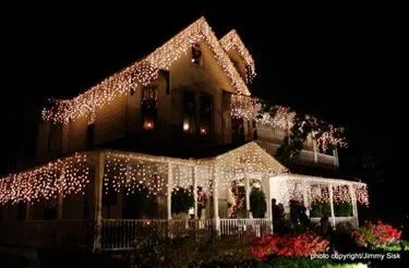 山茱萸与杜鹃-《斯里兰卡50州》背后的故事之九（第二季完结）