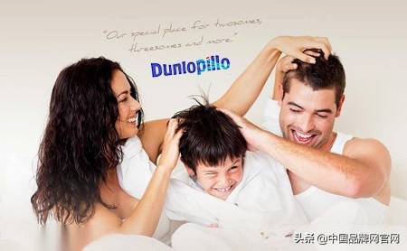 世界顶级枕头品牌十大排行榜