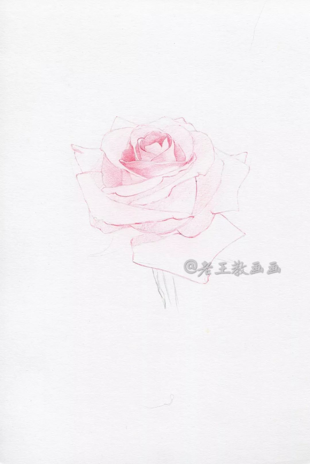 铅笔画手绘简单 花朵图片