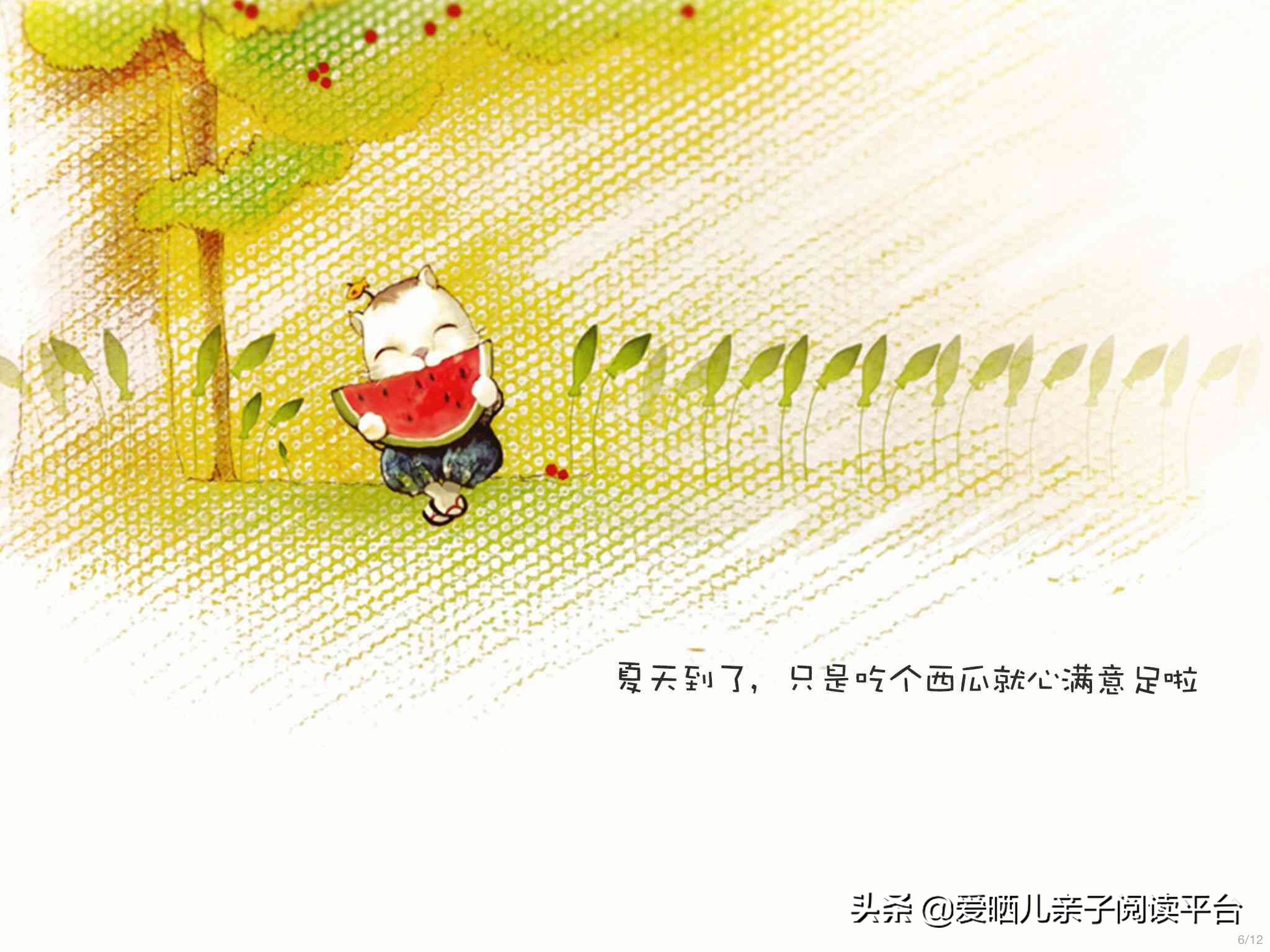 夏天来了绘本故事内容夏天来了绘本