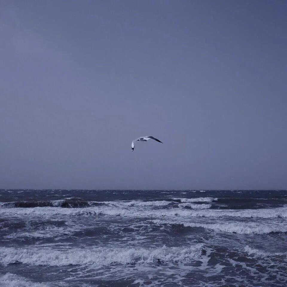 关于心塞的说说心情配图「文案」 _qq说说网