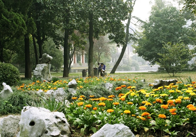 刘芳美术245分预估文化520分，能被南京师范大学录取吗？