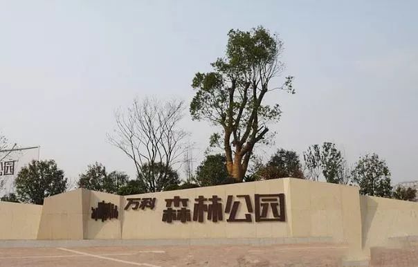 年薪20万孩子上不起学？合肥TOP10学区房or上民办究竟有多贵？