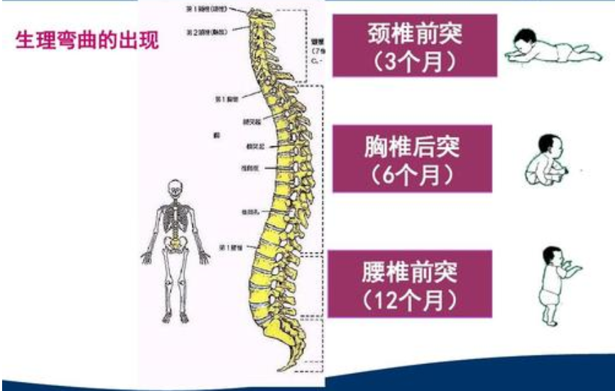 给娃选购婴儿车，这四个重点都达标，才能用得稳当又安心