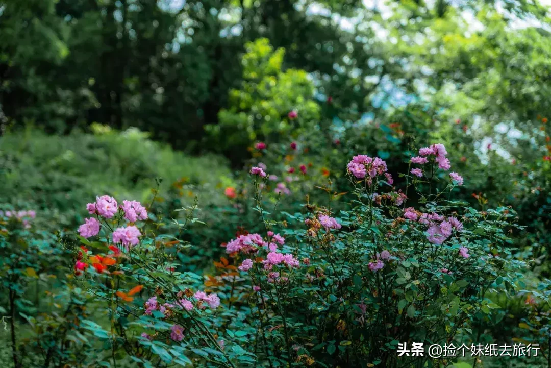 西陵峡美如诗画，5月共赴一场最美的山水之约！