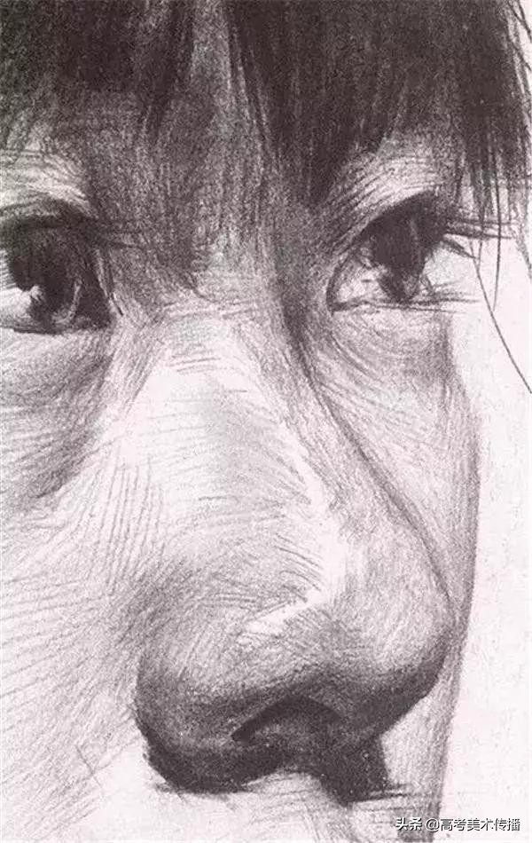 素描教程 | 美术绘画全面解析鼻子，特征、年龄、各角度绘画方法