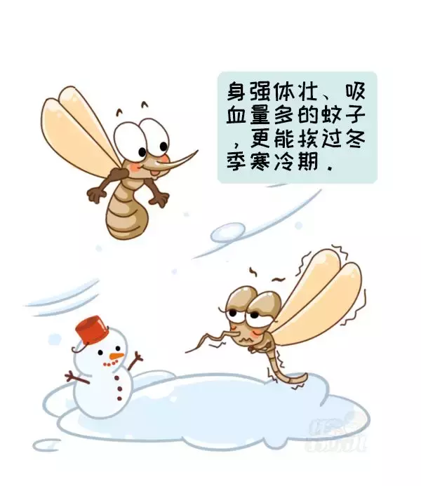 登革热病是由哪种动物传染的,登革热病是由哪个动物传染的