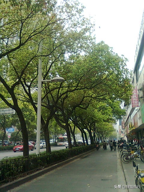 百年名校南京大学一日游，八年前的老照片带你回忆南大