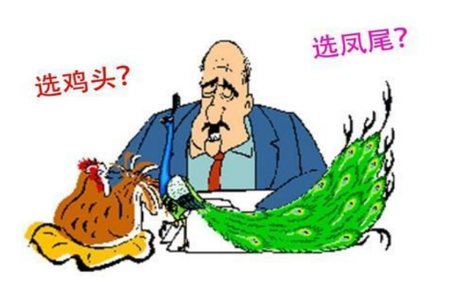 民办大学可以考公务员吗（民办本科和公办专科）