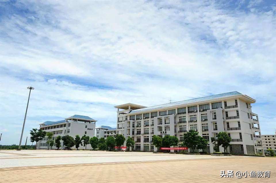23个省中，2020年省内排名前5的大学！海南篇