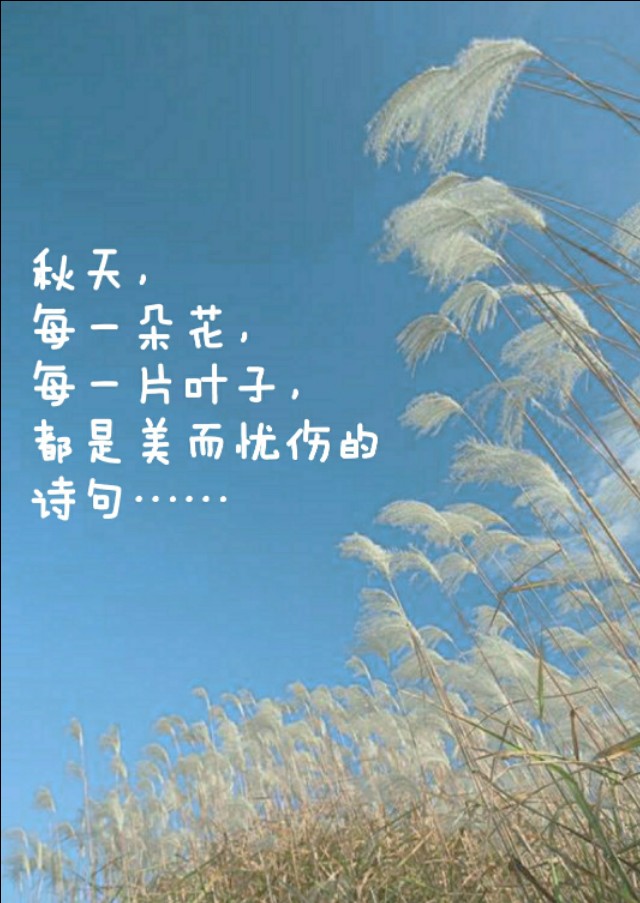 那些关于秋天的成语，美，而且忧伤