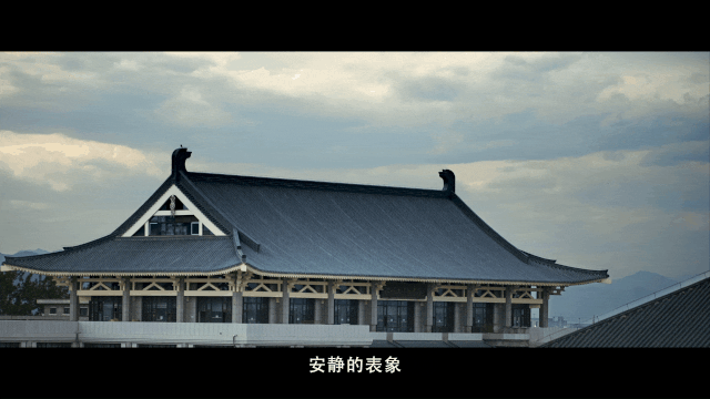 北京大学2020年招生宣传片发布！就在《你的大学，绽放》！