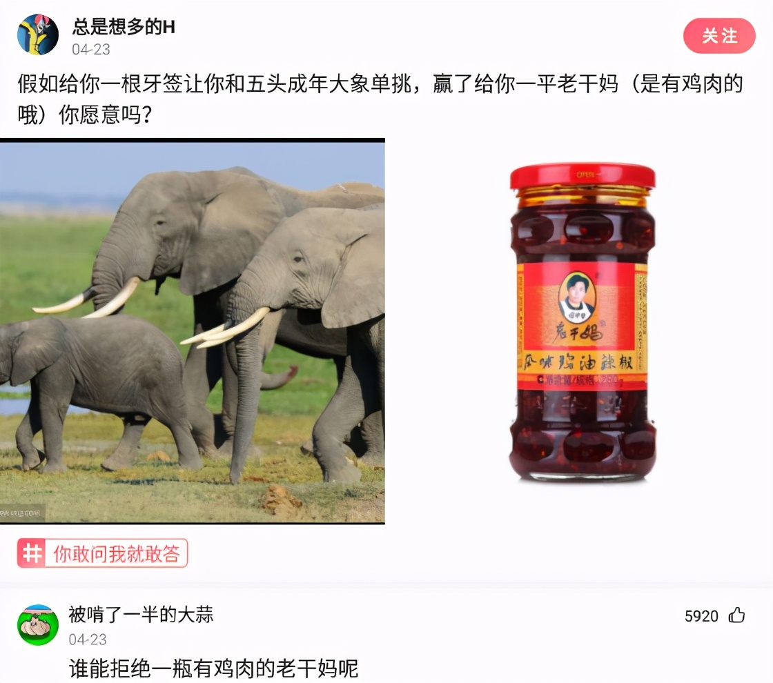 你跟一个喝完酒就打老虎的酒蒙子计较干什么？全网搞笑神回复