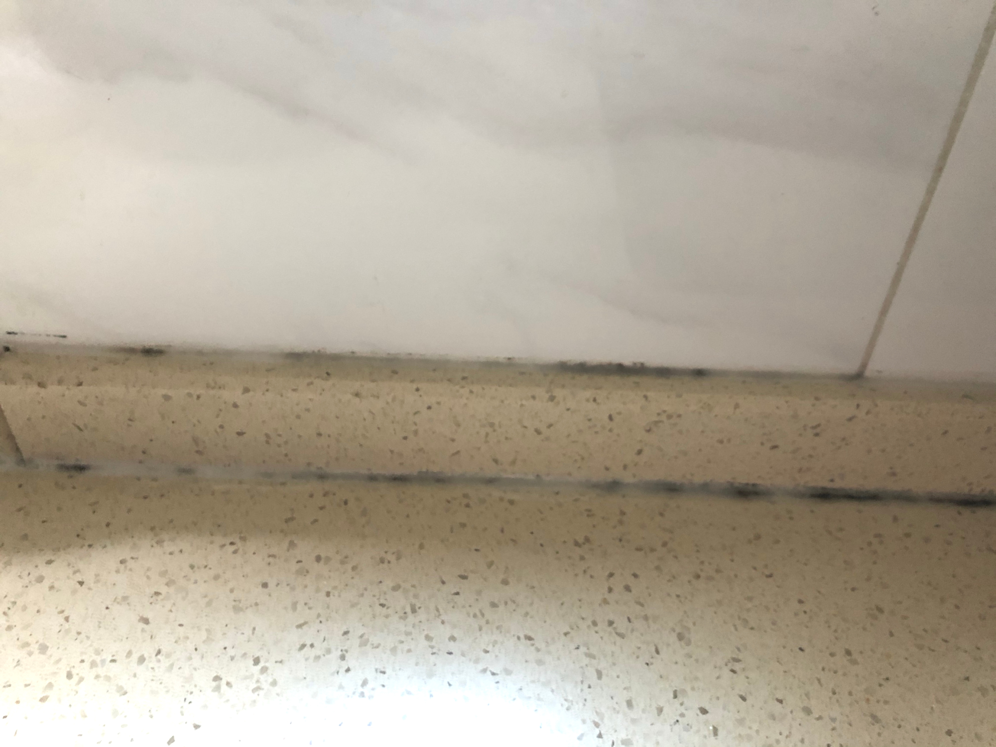 12个厨房设计新思路，建议早点了解，别等入住后又不甘心