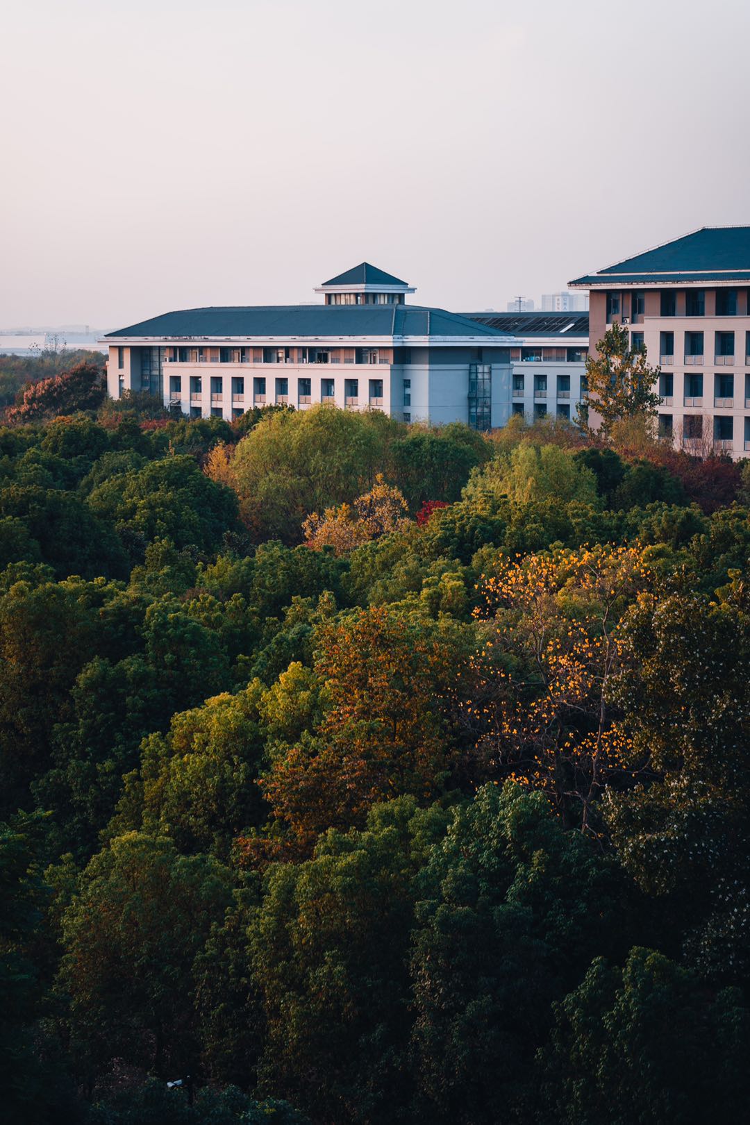 东南大学：我不是“福建大三本”