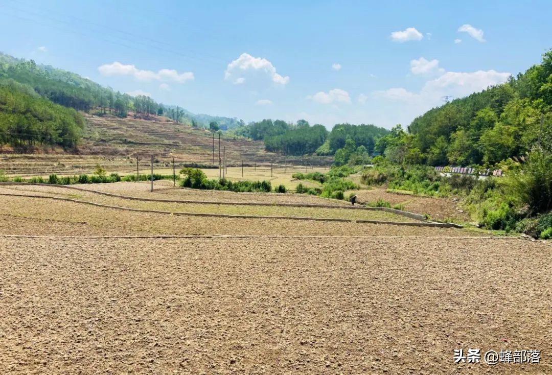 土地确权,土地确权意味着什么