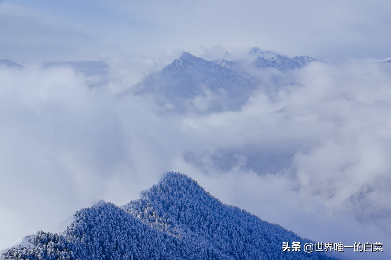 牛背山封了，四人同太苦，还好有亚洲第二360°观景平台满足一切