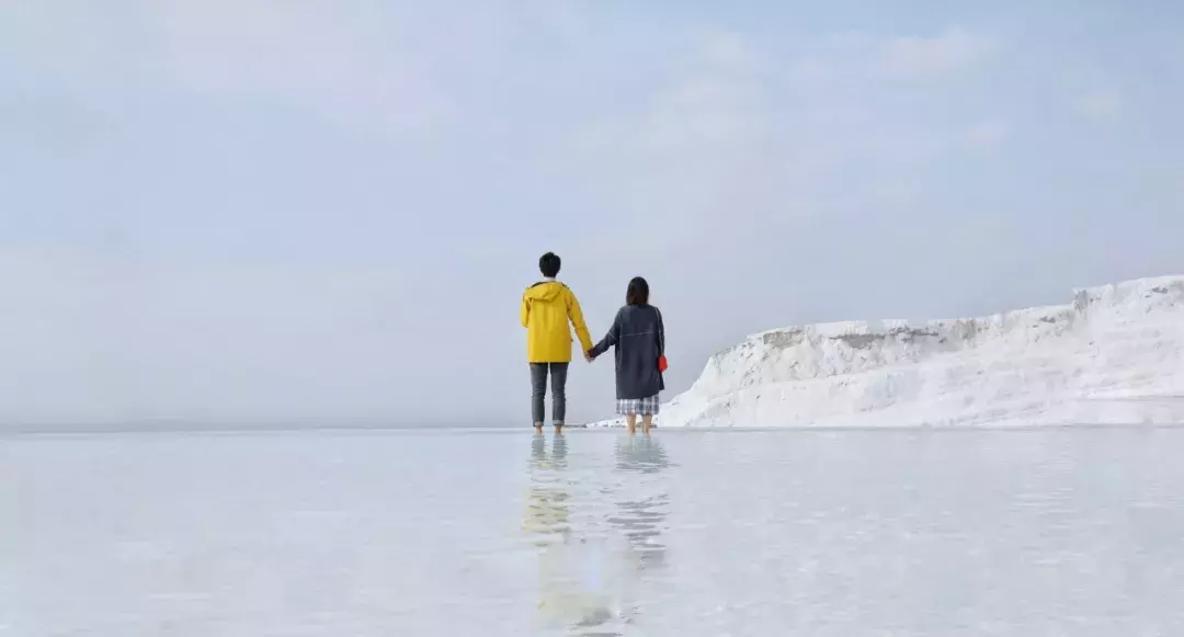 星座屋一周感情预测（1.13-1.19），查看你的桃花数量！