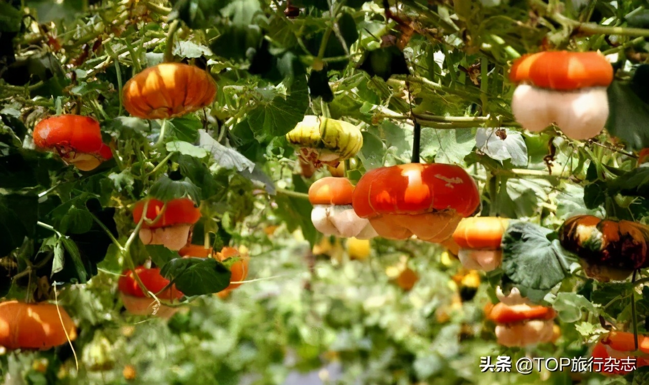 喀喇昆仑，英雄丰碑！一次殊死搏斗背后，你可知他们365天都是“生死一线”
