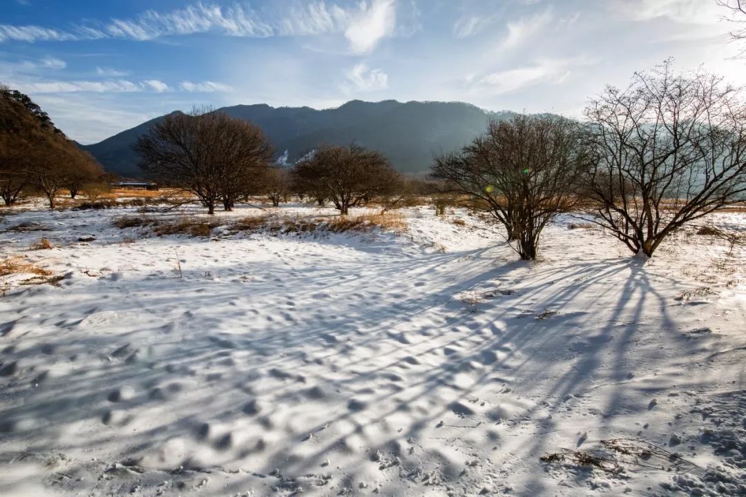 关于下雪的诗句古诗文网，关于下雪的诗句古诗