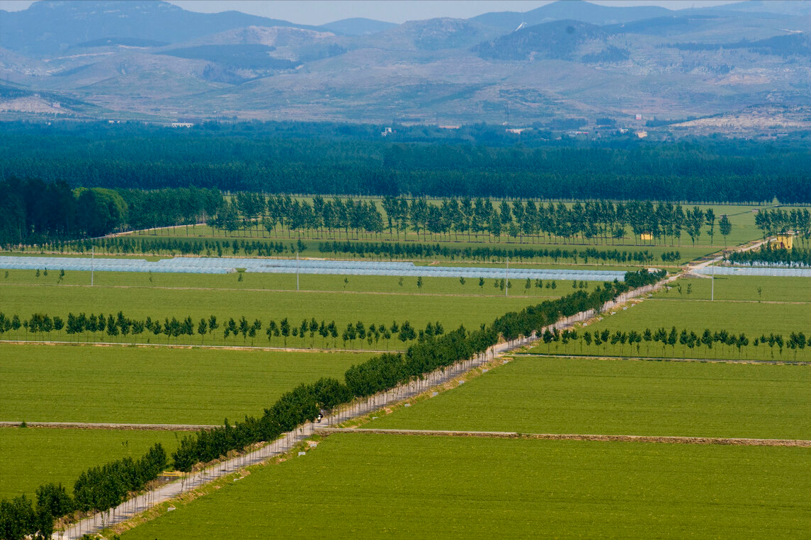 合法征地必须要做这6件事，否则农民有权拒绝交出土地
