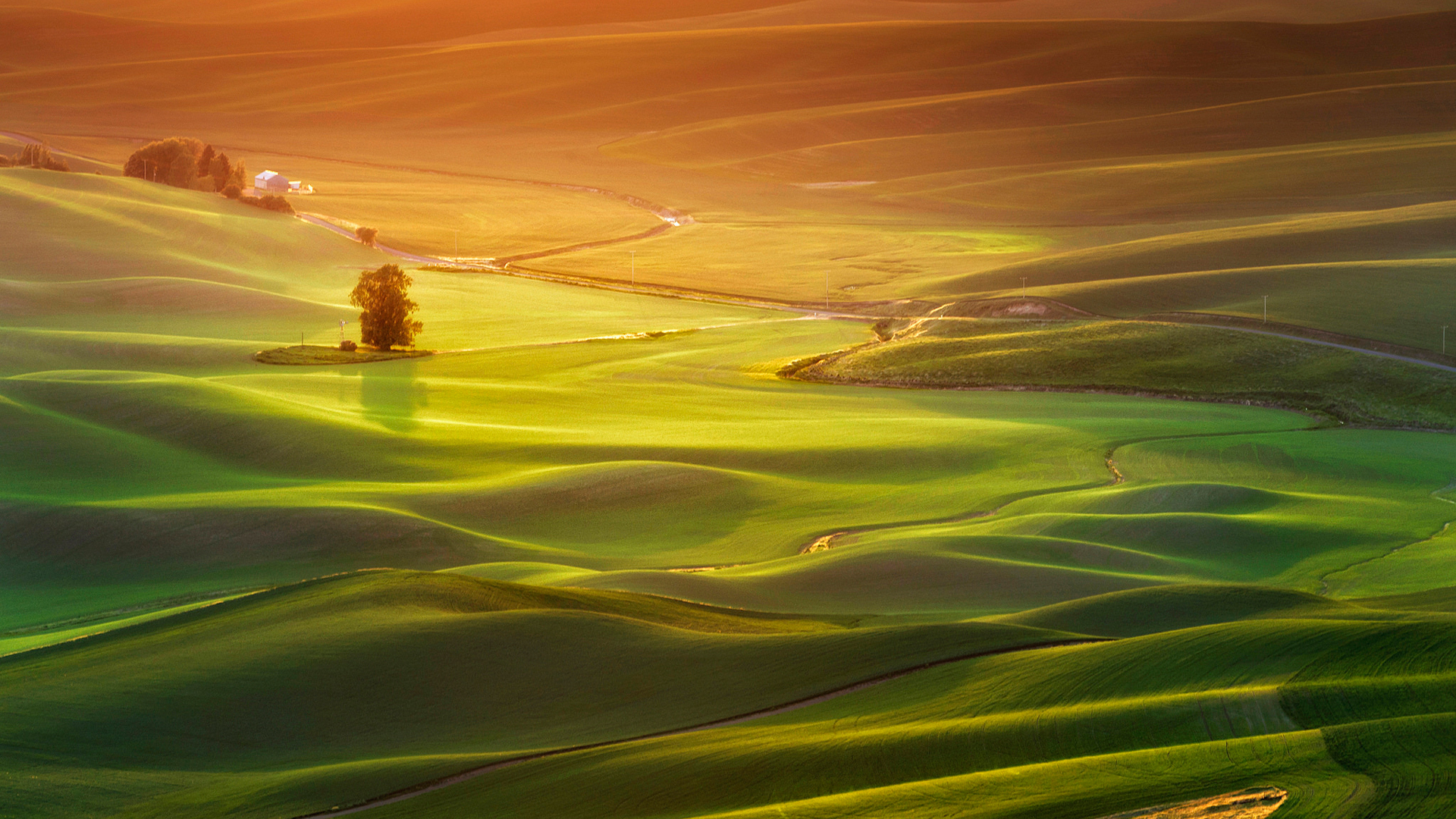 散文：金秋十月