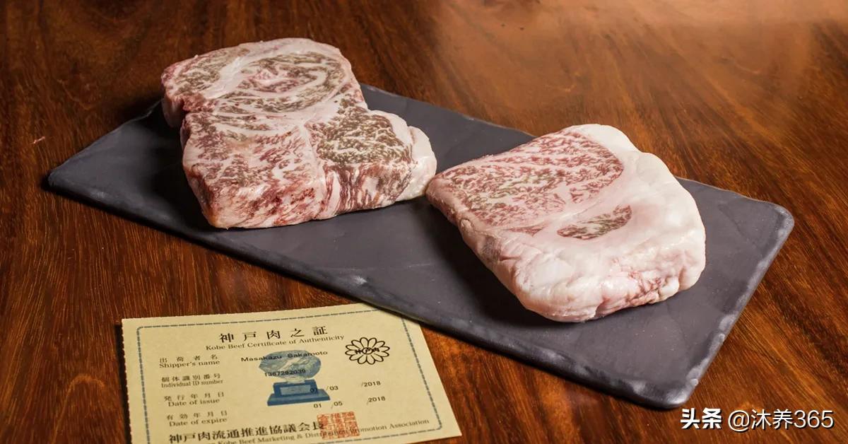 神户牛肉多少钱一斤(2500块钱一斤) 