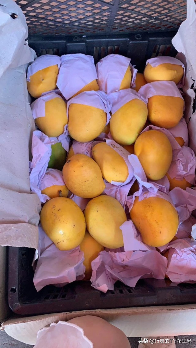 陕西西安雨润水果批发市场5月30号部分水果批发价格（请关注）