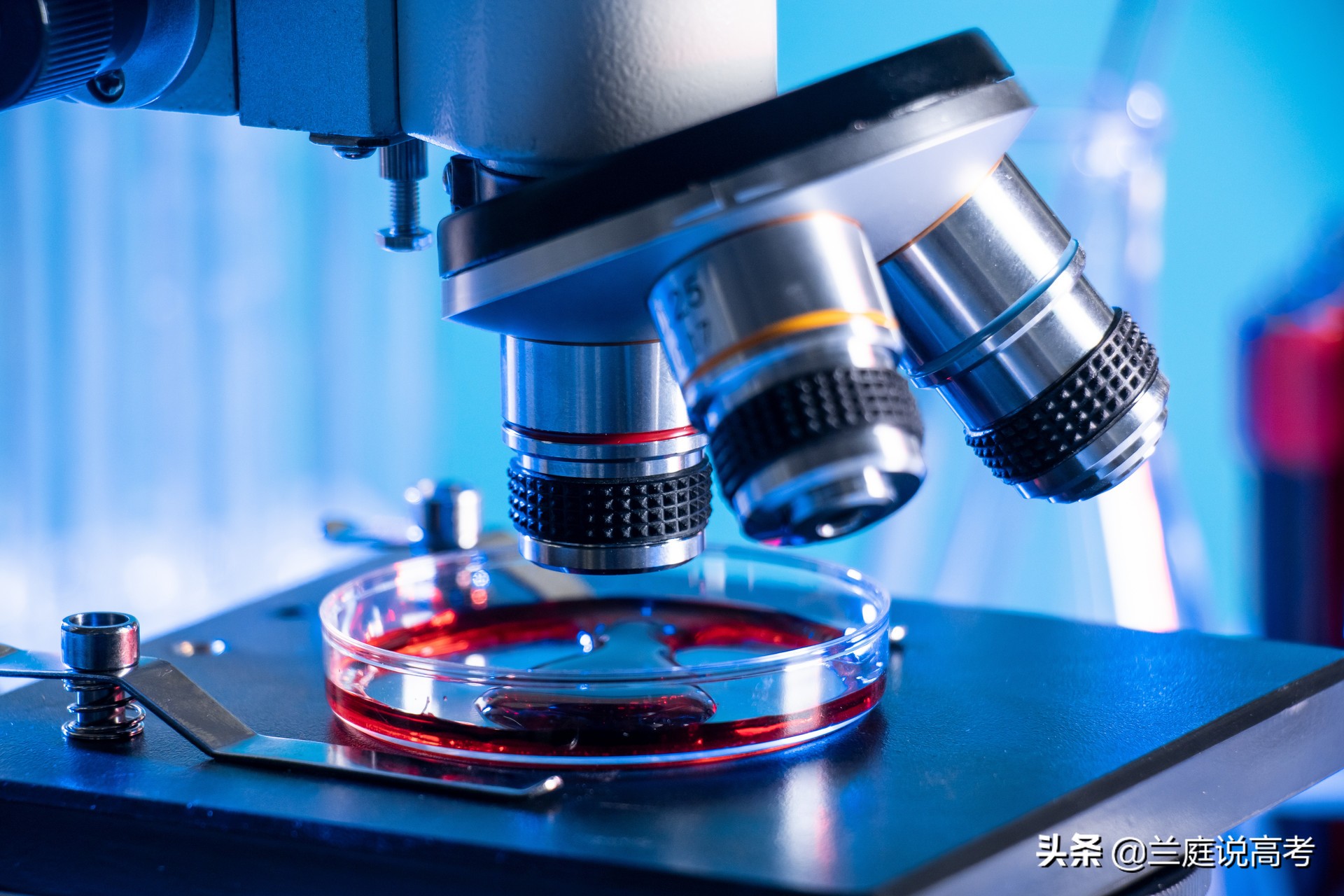 2020全国大学生物学学科水平排名