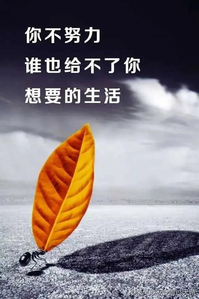 疫情期间：有人慵懒，有人奋起，没事时看看这些句子