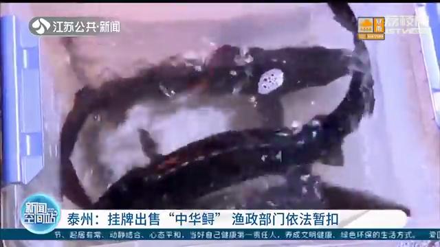 鱘魚價格,鱘魚價格2021年市場價