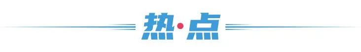 奥运会的健儿有哪些(2021十大奥运冠军：比起网红，他们才是最该火的偶像)