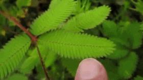 杭州必打卡:植觉、花事未了...4家植物主题店,一家比一家美