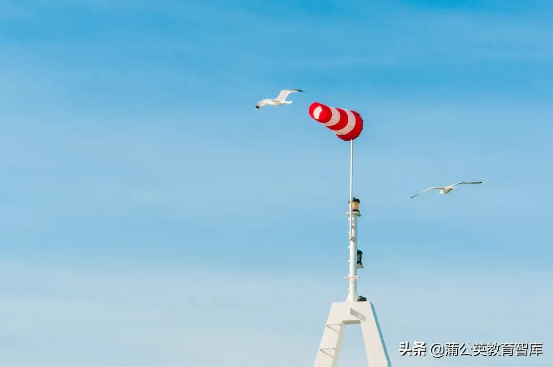 办学最怕灯下黑！学校自我评估需要一套管用的“新工具”