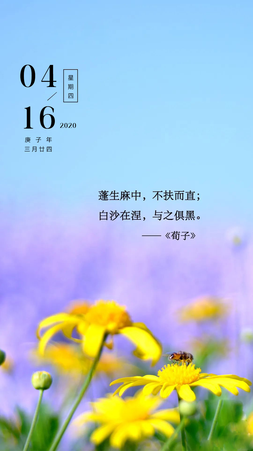 4月16日早安日签图片正能量心语说说：每一束阳光，都闪着希望的光芒