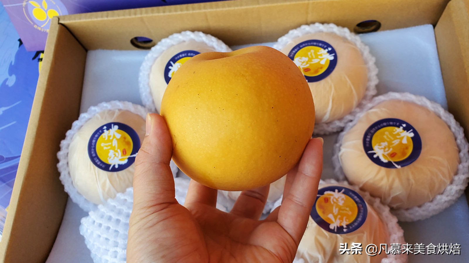 苹果梨图片（盘点全国最好吃的50种梨快收藏）
