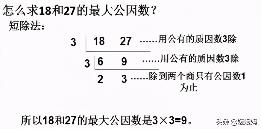 人教版五年级数学下册总复习知识点（最小的质数）